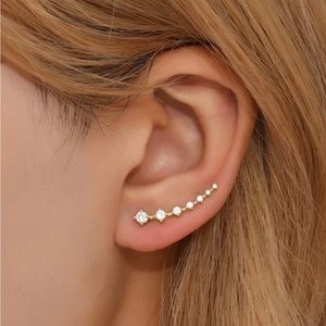 NEW ✨Cubic Zirconia Ear Climber Earrings